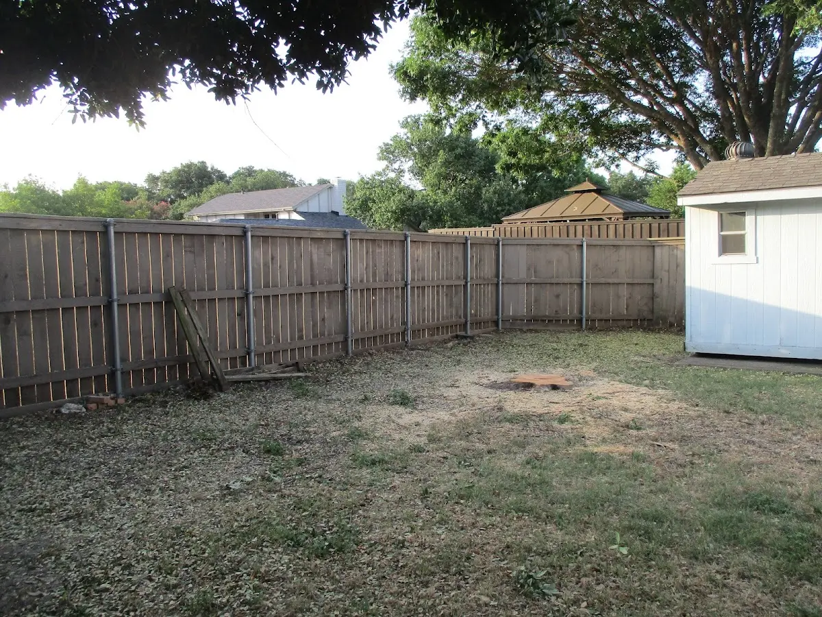 Cleared yard after professional tree removal in Brodheadsville